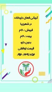 کروکی فعال